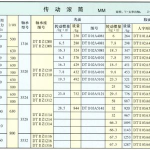 DTⅡ型传动滚筒