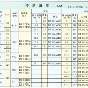 DTⅡ型传动滚筒