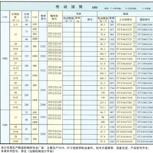 DTⅡ型传动滚筒